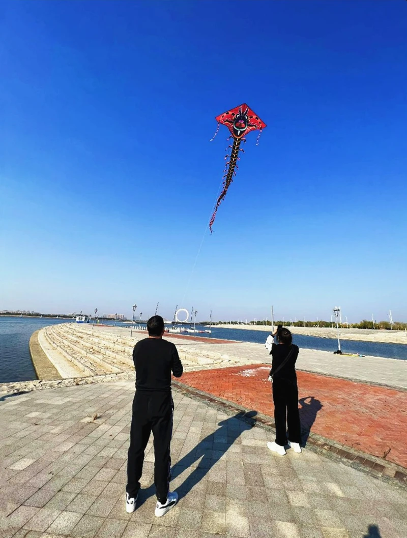 Бесплатная доставка многоножка воздушный змей для взрослых воздушные змеи