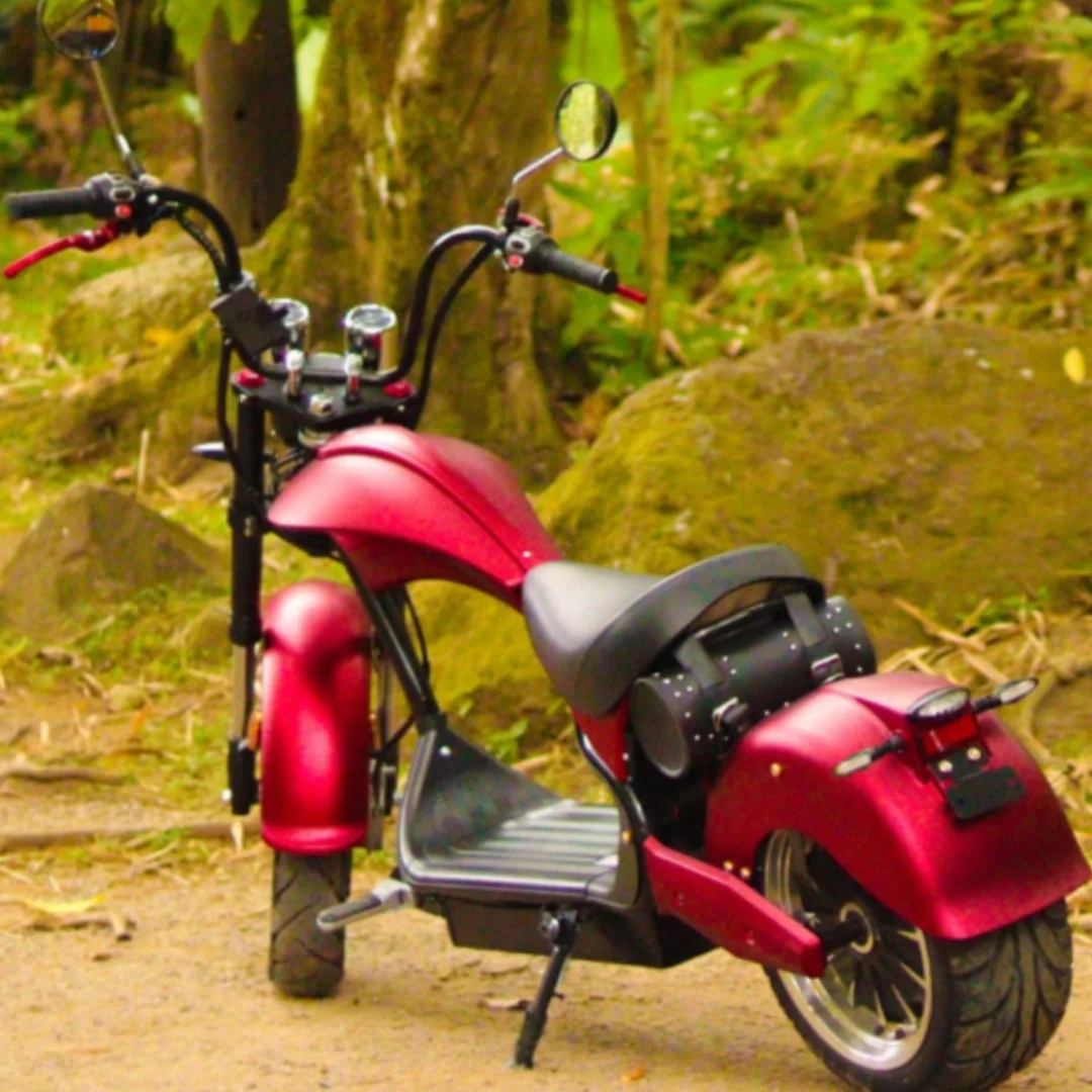 US DOT MCO 4000 Вт электрические городские Электровелосипеды Citycoco мотоциклы для