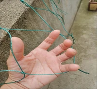 24 strands agricultural plant crawling mesh anti bird trellis netting fruit crop vegetable farm climbing network gardening