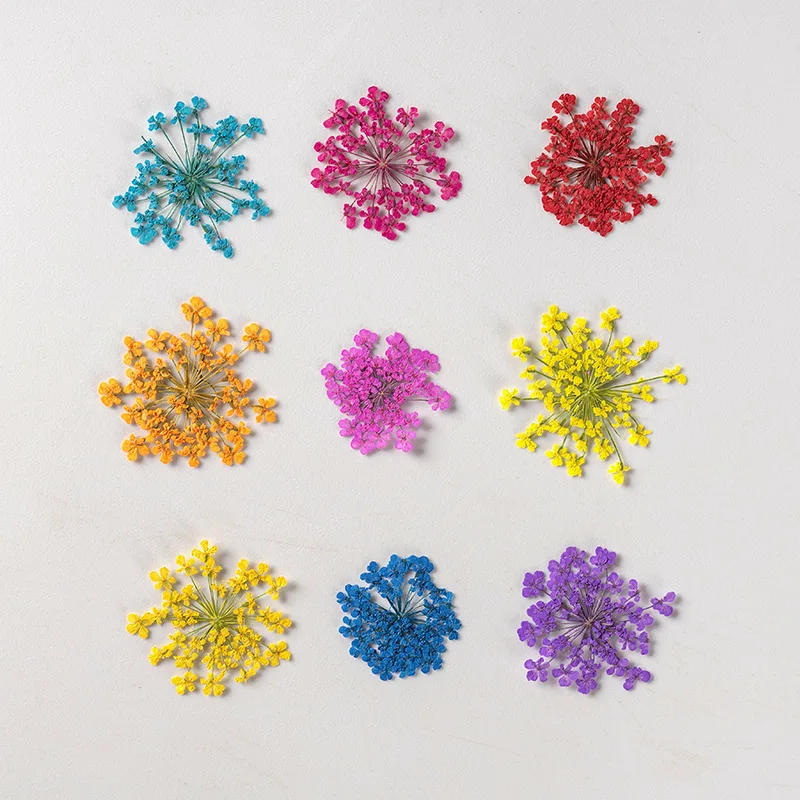 24 шт./1 5-2 5 см натуральный Снежный бисер прессованный лепесток цветов капельная