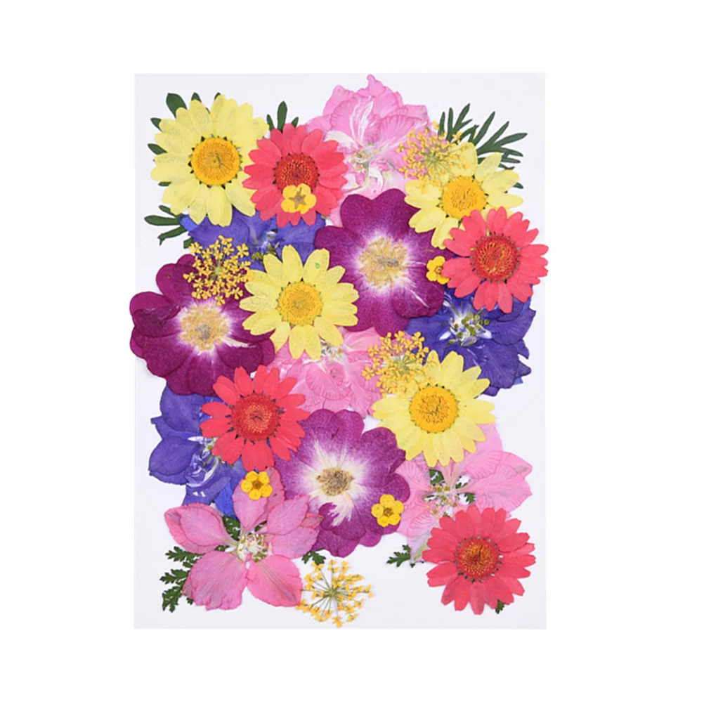 

Flowers Driedflower Natural Preserved Dry Arrangements Artificial Table Bouquets Wedding Decoration Bouquet Nailsnail Floral