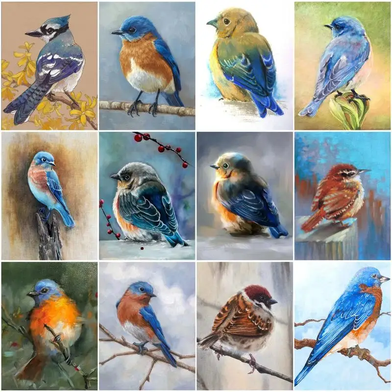 

GATYZTORY DIY Pictures By Number Animal Kits Painting By Numbers Bird Drawing On Canvas Hand Painted Paintings Art Gift Home Dec