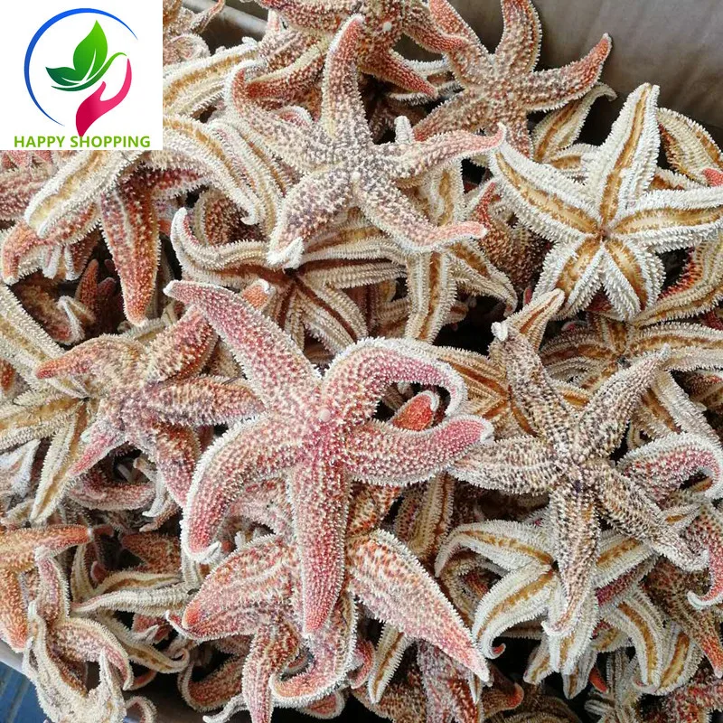 

Starfish, Chinese Medicinal Materials, Sea Star, Clearing Away Heat and Relieving Heat