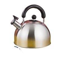 travel bouilloire maker hervidor de agua pot cooking kitchen appliance part panela eletrica chaleira tea electric kettle