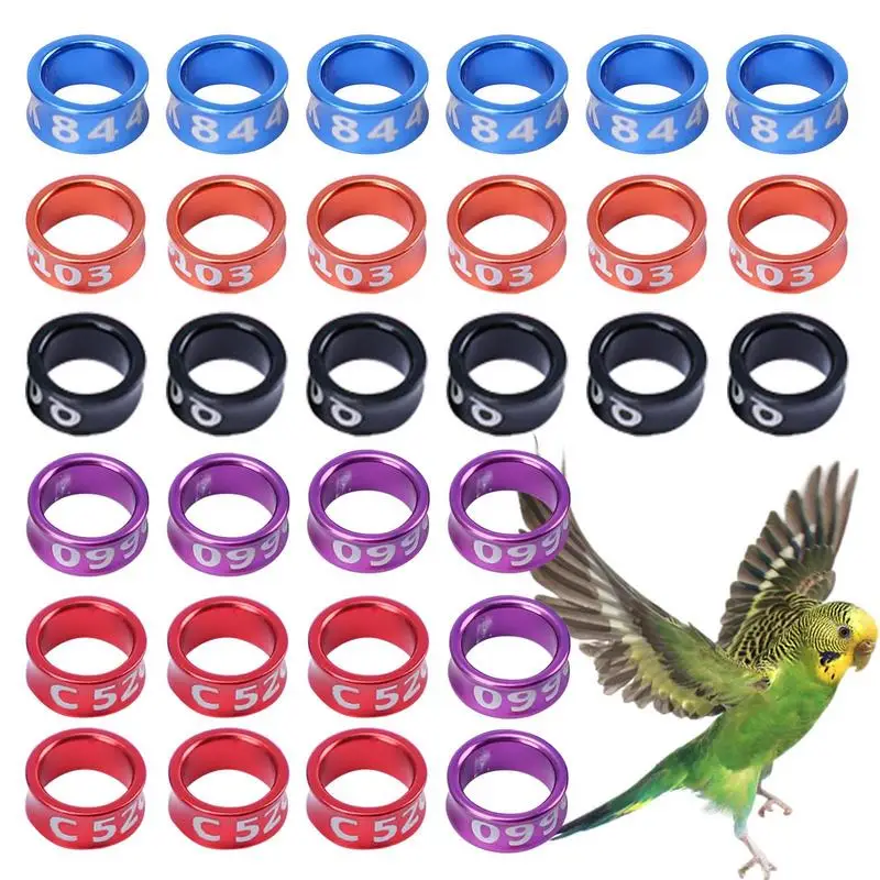 

Bird Foot Rings Closed Alloy Bird Identification Rings Bright And Diverse Colors Bird Identification Tool For Parrots Pigeons