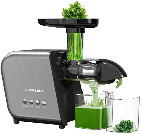 

Juicer Machines Easy To Clean, Cold Press Juicer Extractor Leafy Greens Wheatgrass Beet,Quiet Vegetables and Fruits Juicer 250W