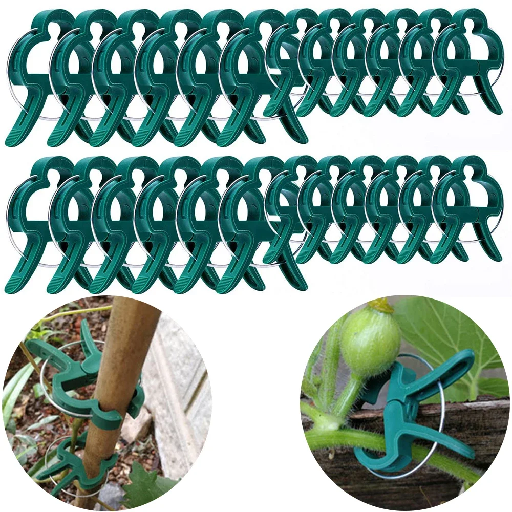 

100pcs Plant Support Clips With Zinc Reusable Clamps For Plants Hanging Vine Garden Greenhouse Vegetables Tomatoes