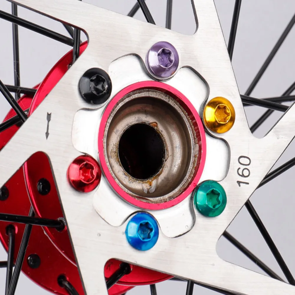 Рисунок 6 - тормозные дисковые винты T25 из