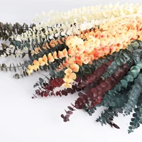 10pcsset home decoration natural eucalyptus diy home wedding shooting party decor supplies for leaves dried flower