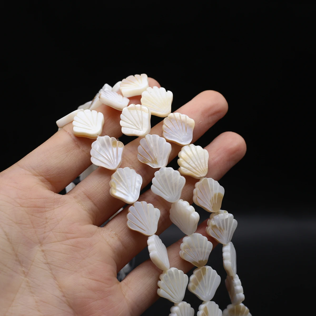 

Natural Shell Beads Cute Scallop in Shell Loose Art Bead for Trendy Jewelry Making Diy Women Bracelet Necklace Gifts