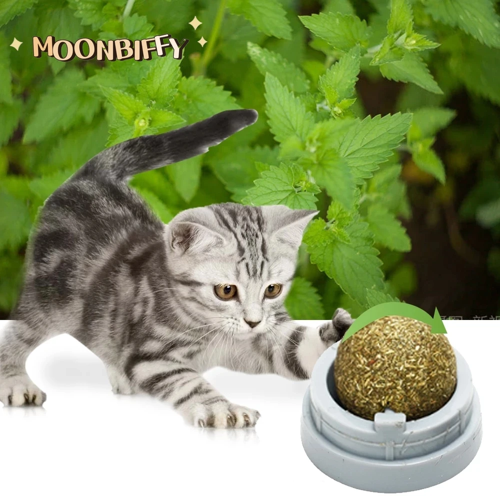 

Набор мячиков для кошачьей мяты, 3 шт., мячи для шлифовки зубов, мята для кошачьей мяты, съедобные игрушки для кошек, настенное крепление, моля...