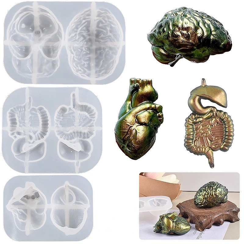 

DIY Crystal Epoxy Resin Plaster Organ Mold Internal Organs Brain Heart Three Dimensional Silicone Mold