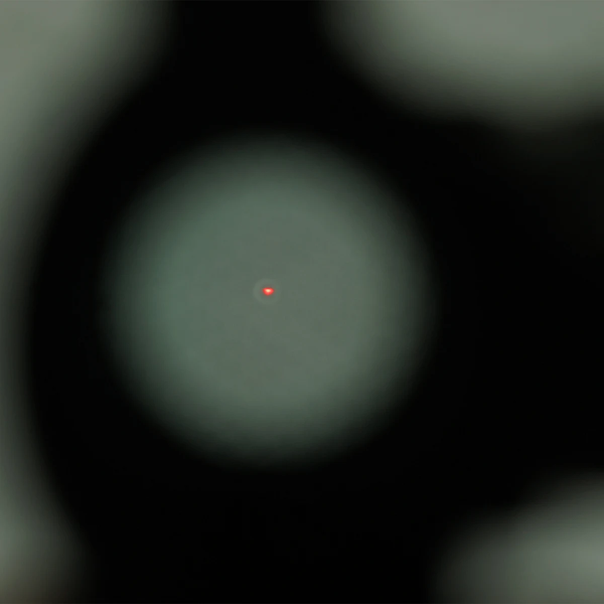 Фото Бесплатная доставка! Винтовочный прицел SKWoptics Red Dot Sight 1X20 AR15 подходит для крепления на планку Пикатинни №3