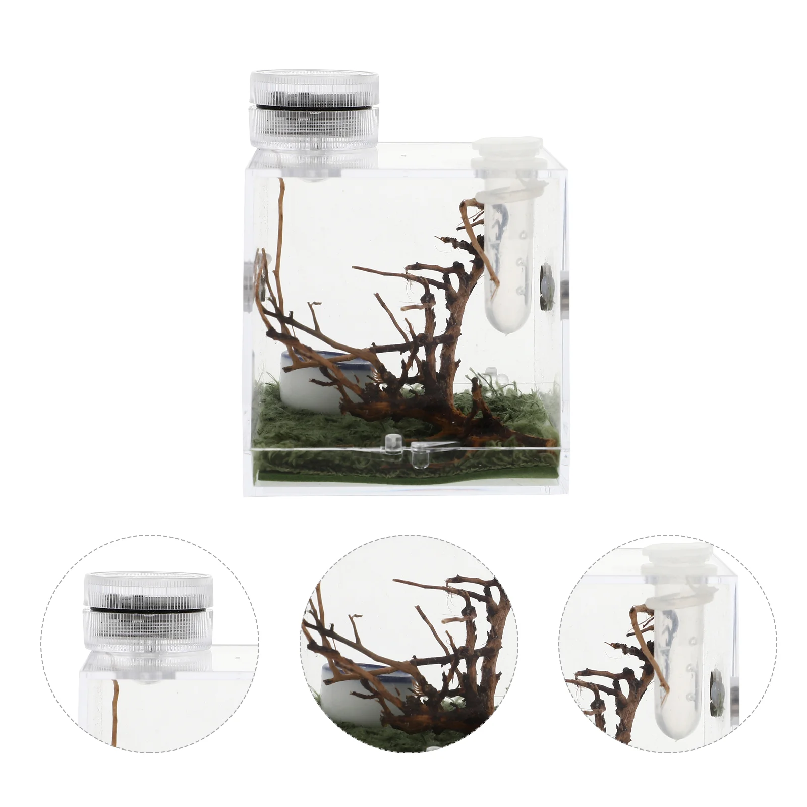 

Reptile Feeding Box Spider Terrarium Spider Micro Habitat Reptile Terrarium Breeding Box Large Terrarium