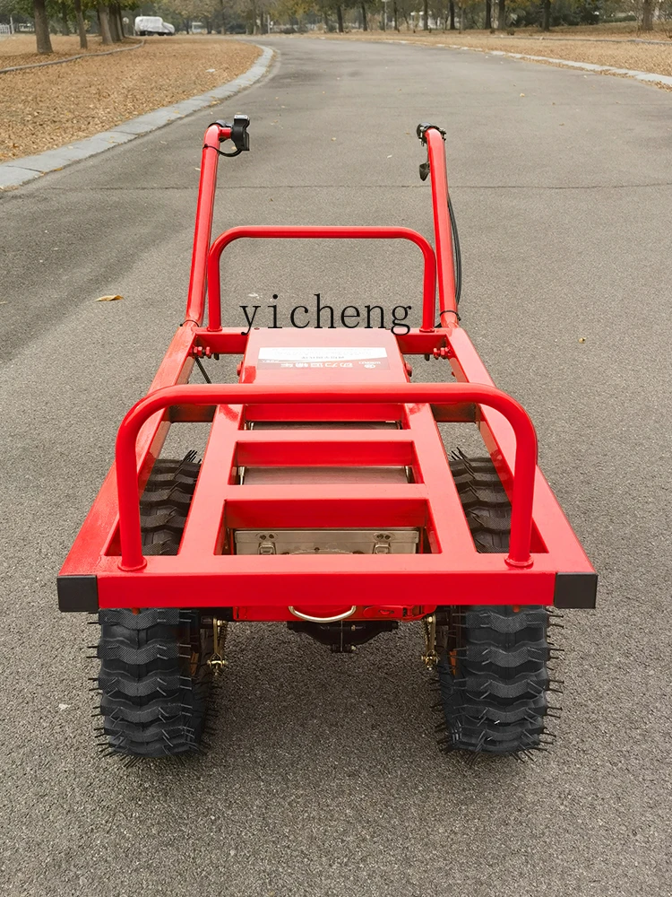 Двухколесная электрическая тележка Tqh стандартная для зарядки сада