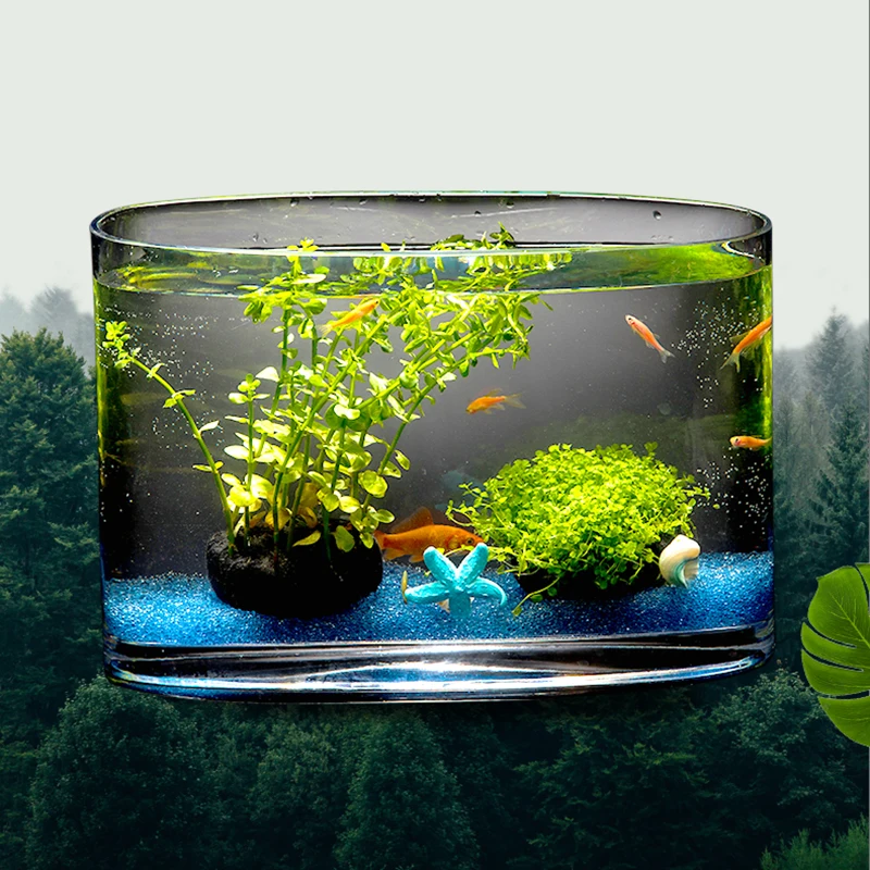 Маленькая Водонепроницаемая Современная чаша для рыбы стеклянные растения Guppy