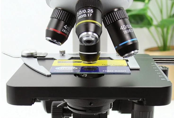 

Liyi Laboratory Compound Binocular Optical Biological Microscope