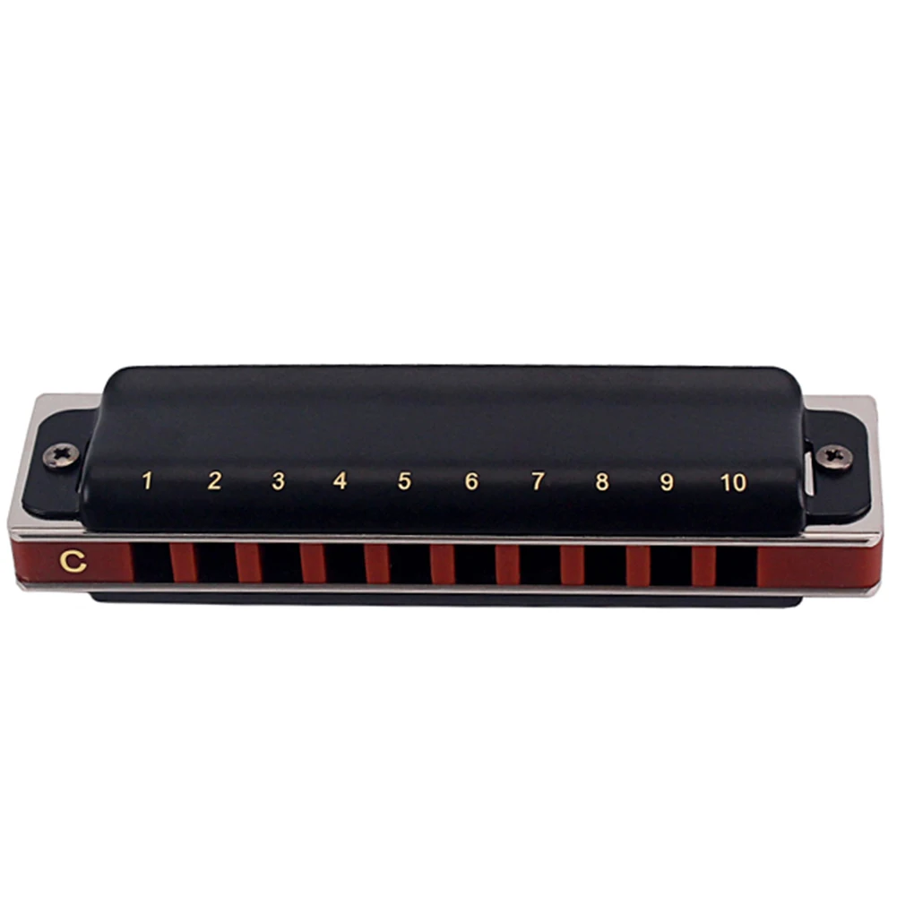 

Blues Harp C Key Unique Design Beautiful Mouth Organ Diatonic Harmonica Premium Material Ten Holes for Beginners Kids