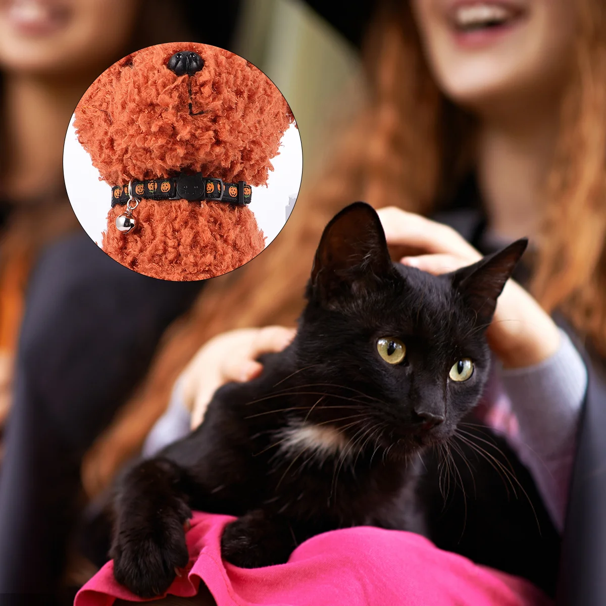 

Cat Collars Collar Dog Pumpkinpets Cool Bellstrap Neck Packpatterns Costumecats Spooky Kawaii