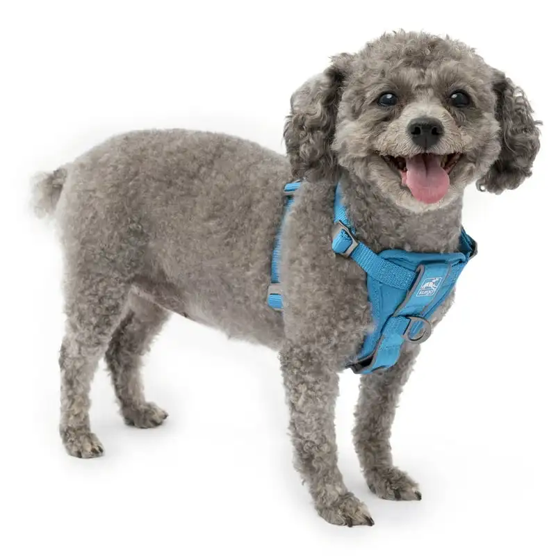 

Smart Harness - QR, Blue, S