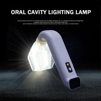 dental led oral cavity lighting lamp has saliva adsorption function dentists tools be sterilized at high temperature dentistry