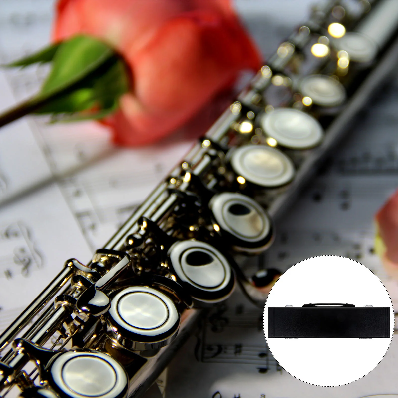 

Anti-drop Box Flute Carrying Case Instrument Storage Portable -resistant