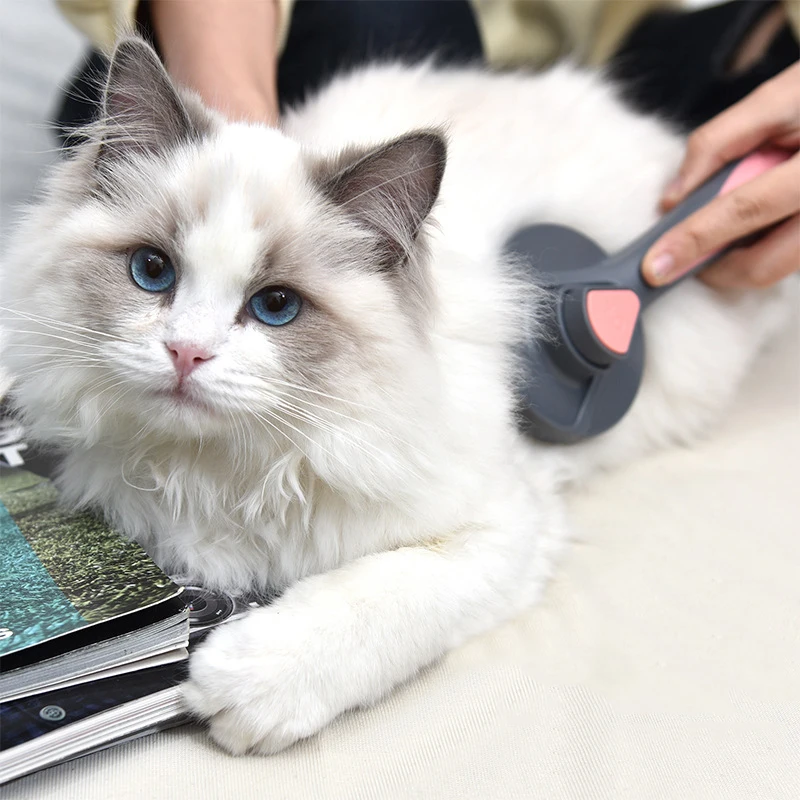 

Long Hair Dog CombDog BrushCat CombPet GroomingCat BrushCleaningPet SuppliesDog AccessoriesDepilatory BrushRemove Hair Tools