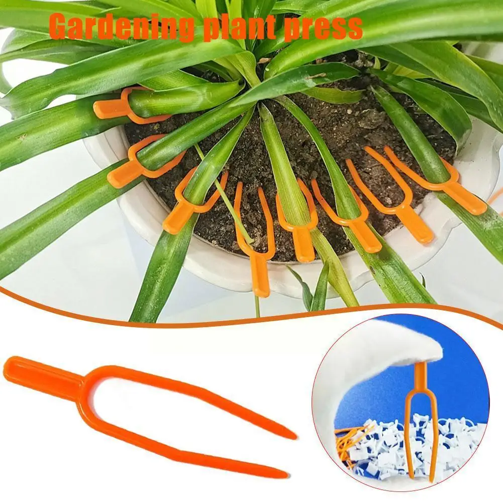 

Plant Stem Stolon Fixator 55MM 65MM Garden Strawberry Support Fixture Clamp Watermelon Plant Planting Fork Clip Fastening G6H9