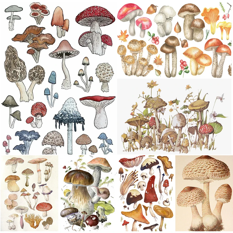 

Набор для алмазной вышивки «сделай сам», картина из квадратных страз 5D с изображением грибов, мозаика для декора Стразы