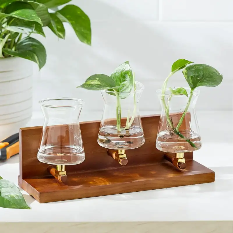 

Homes and Gardens 3 Beaker Propagation Station, Beige Wood and Clear Glass