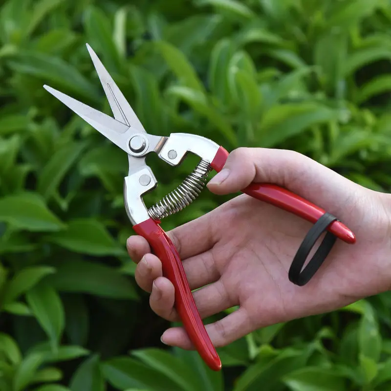 

Gardening Hand Pruner Garden Scissors Pruning Shears Micro-Tip Pruning Snips Plant Leaf Trimmer Straight Florist Scissor Bonsai