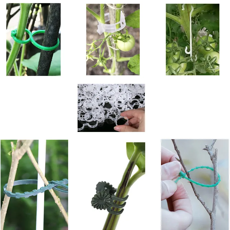 

Plant Clips Supports Connects Reusable Protection Grafting Fixing Tool Gardening Supplies for Vegetable Tomato Orchid Clip