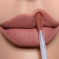 matte nude liquid lipstick waterproof long lasting non stick cup lip gloss tint nude red purple lip gloss woman makeup cosmetic