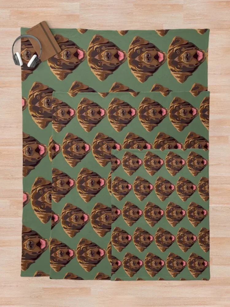 Плед шоколадный лабрадор одеяло для дивана кровати декоративные диваны в клетку