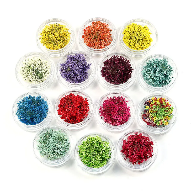 

100 шт., цветы бриллиантов с коробкой, сухие растения для эпоксидной смолы, подвеска, ожерелье, изготовление ювелирных изделий, аксессуары для...