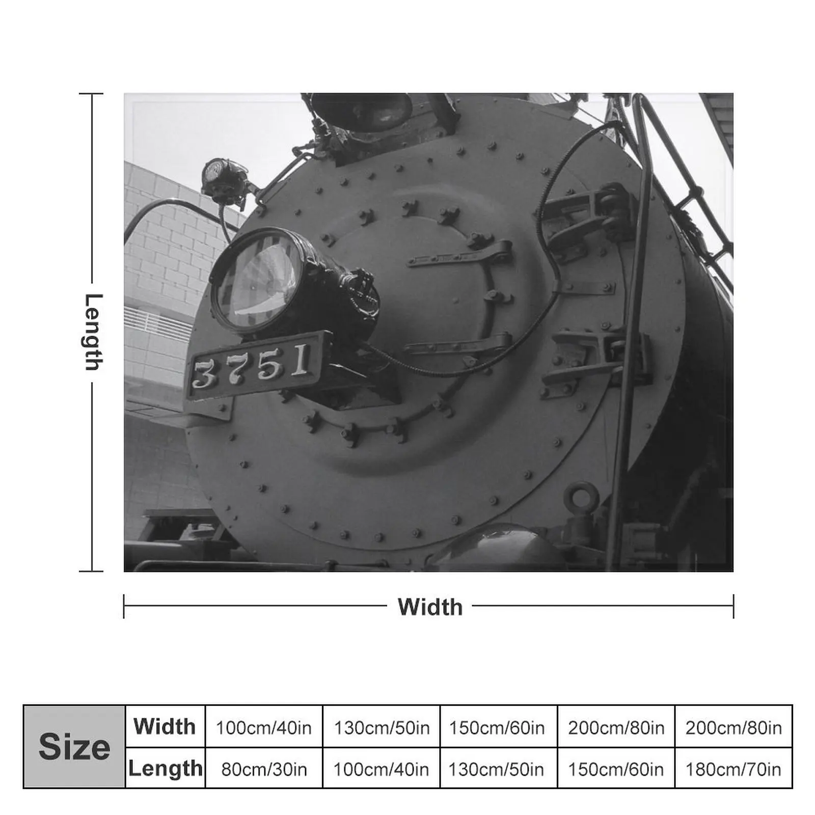 Паровой двигатель 3751 одеяло Hairys для декоративных диванов