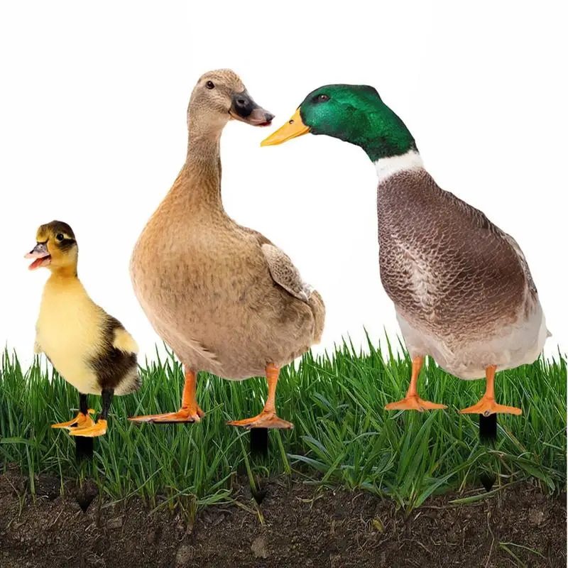 

3 шт., водонепроницаемые фигурки петушиных дворов из акрила