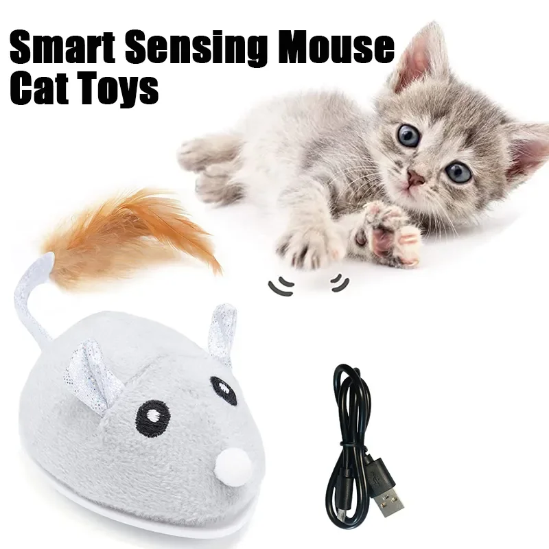 

Souris intelligente à détection intelligente, jouet électrique interactif pour animal de compagnie, en peluche, amusant, char