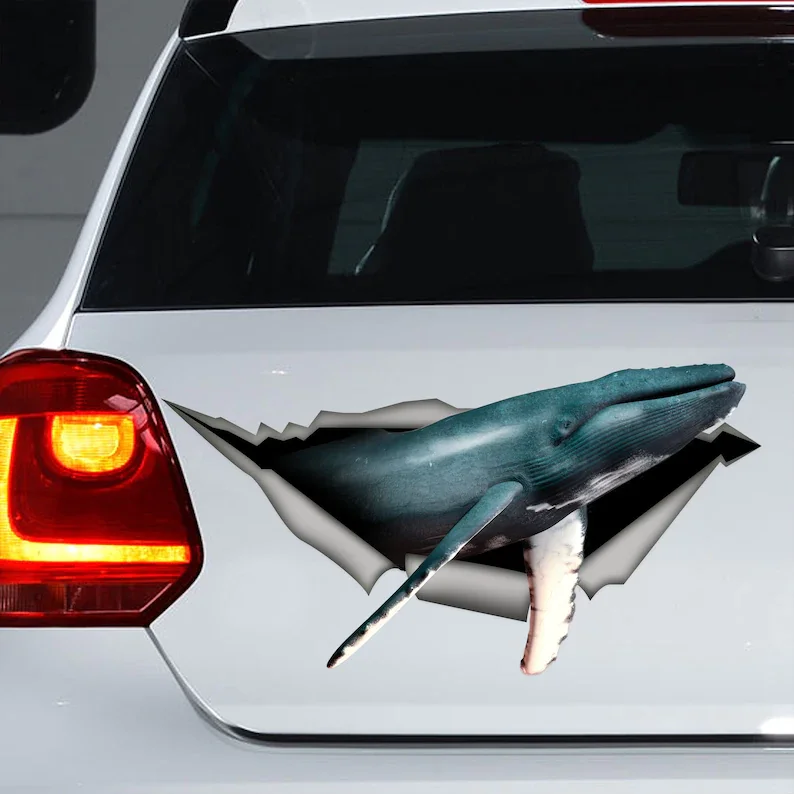 

Whale car sticker , Whale car decal, Whale sticker, Whale magnet