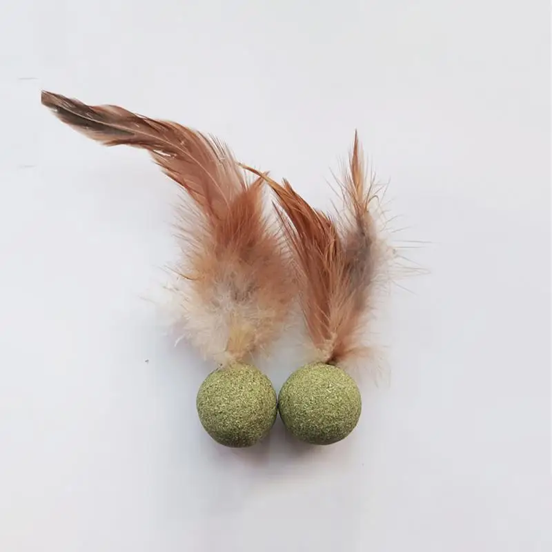 

1/2/3pcs Natural Catnip Feather Balls Toy Treats Healthy Natural Removes Hair Balls to Promote Digestion Cat Grass Snack