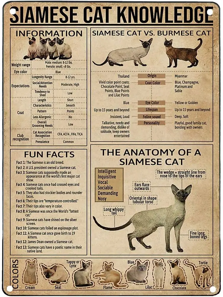 

Metal Tin Signs Metal Sign Personalized Siamese Cat Knowledge Bar Items Bar Accessories Home Bar