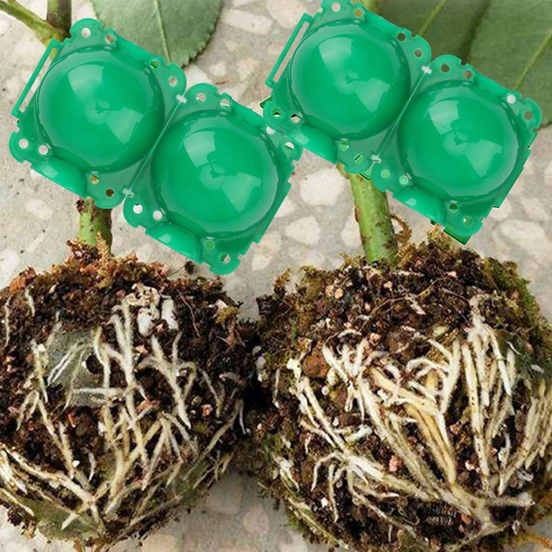 

Коробка для выращивания корней растений, коробка для выращивания корней растений, коробка для корней сада, контроллер корней, прививочный ш...