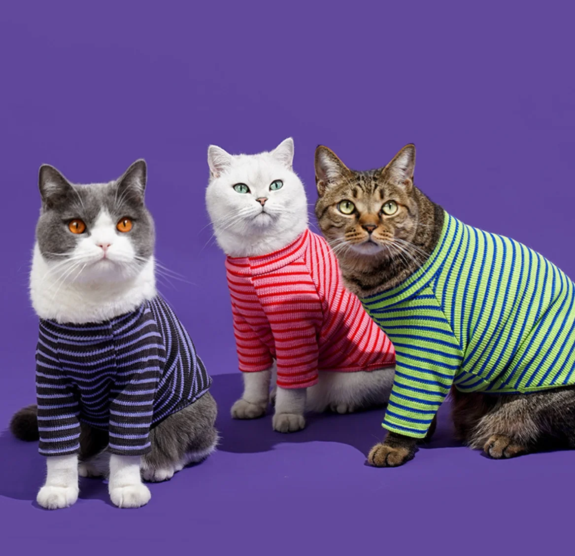 

Ribbed Warm Base Shirt Turtleneck Pet Clothes