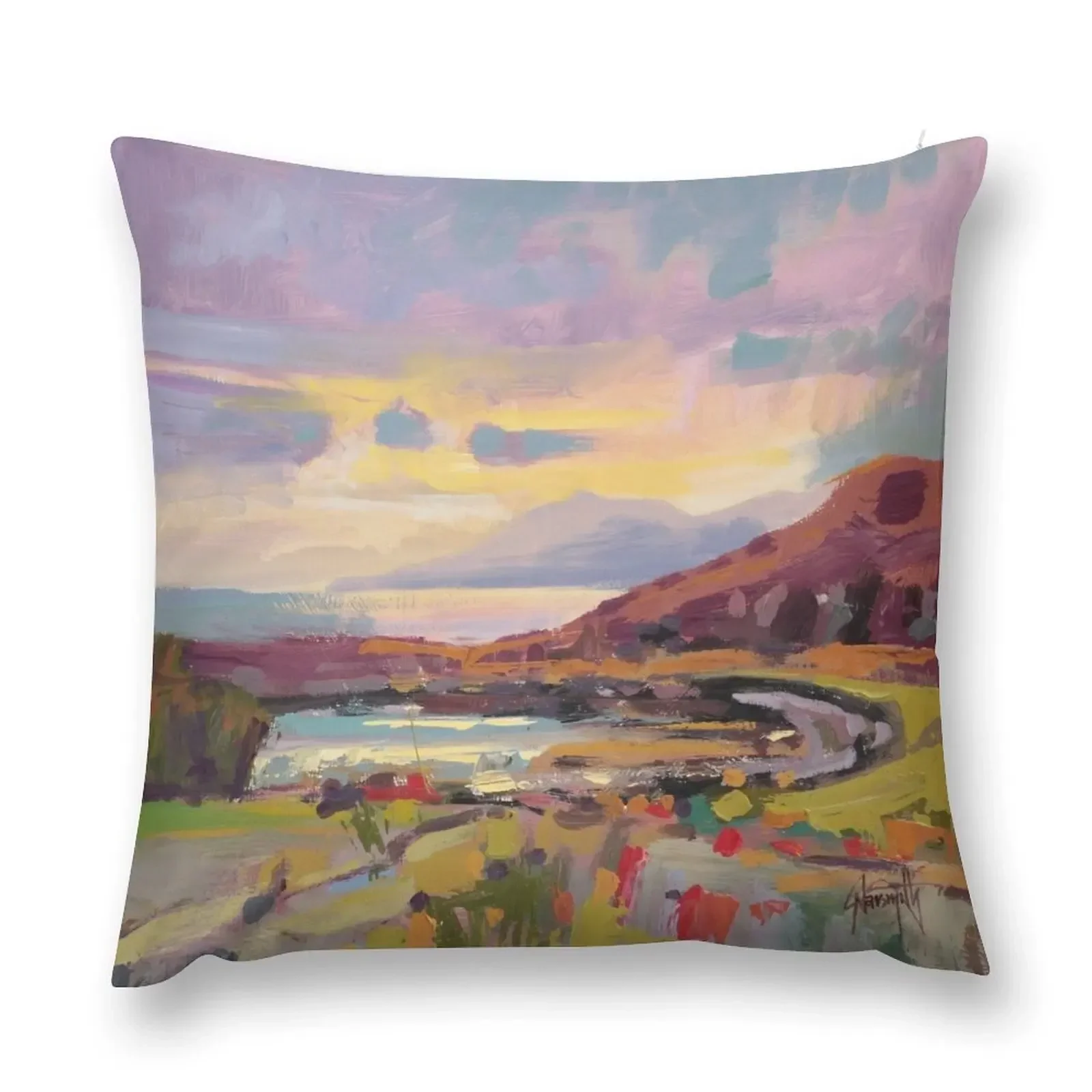 Arran from The Kyles of Bute Декоративная подушка Рождественская для дома Чехлы подушек