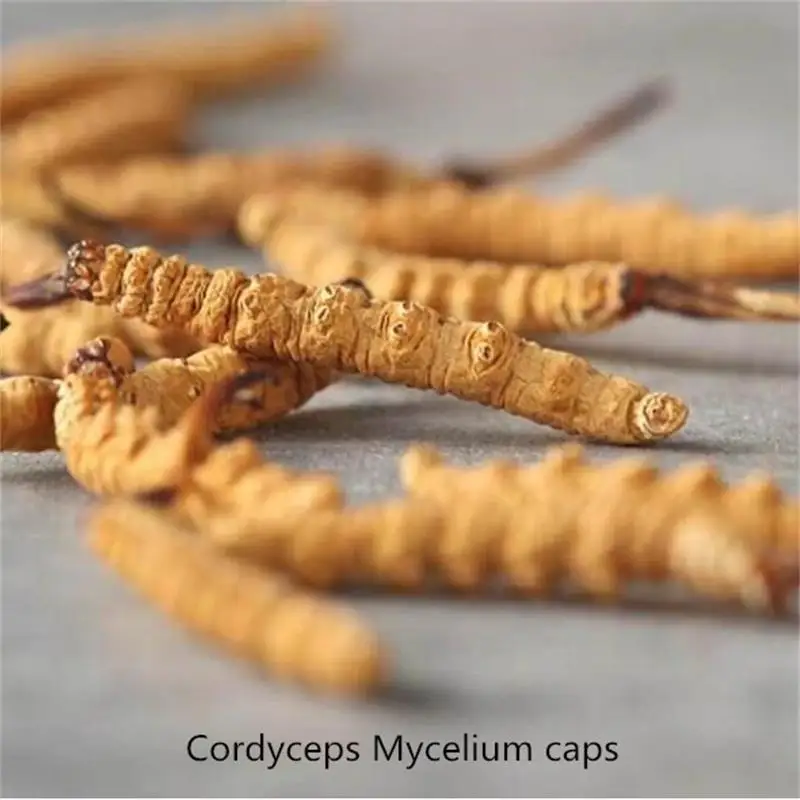 

1 bottle / 2 bottles-Cordyceps Mycelium Soft Anti-fatigue,improve human immunity,and delay aging 1 bottle=100p.