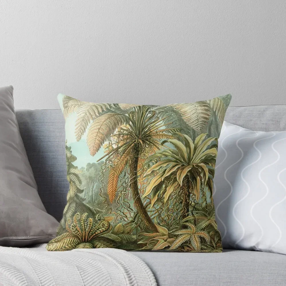 Диванная подушка Ferns-ningbo Haeckel наволочки для диванных подушек рождественские