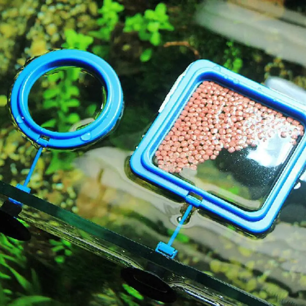 

Fish Feeding Aquarium Fish Tank Ring Feeder Station Floating Food Water Plant Buoyancy Circle 1pcs Feeding Ring Aquarium Fish