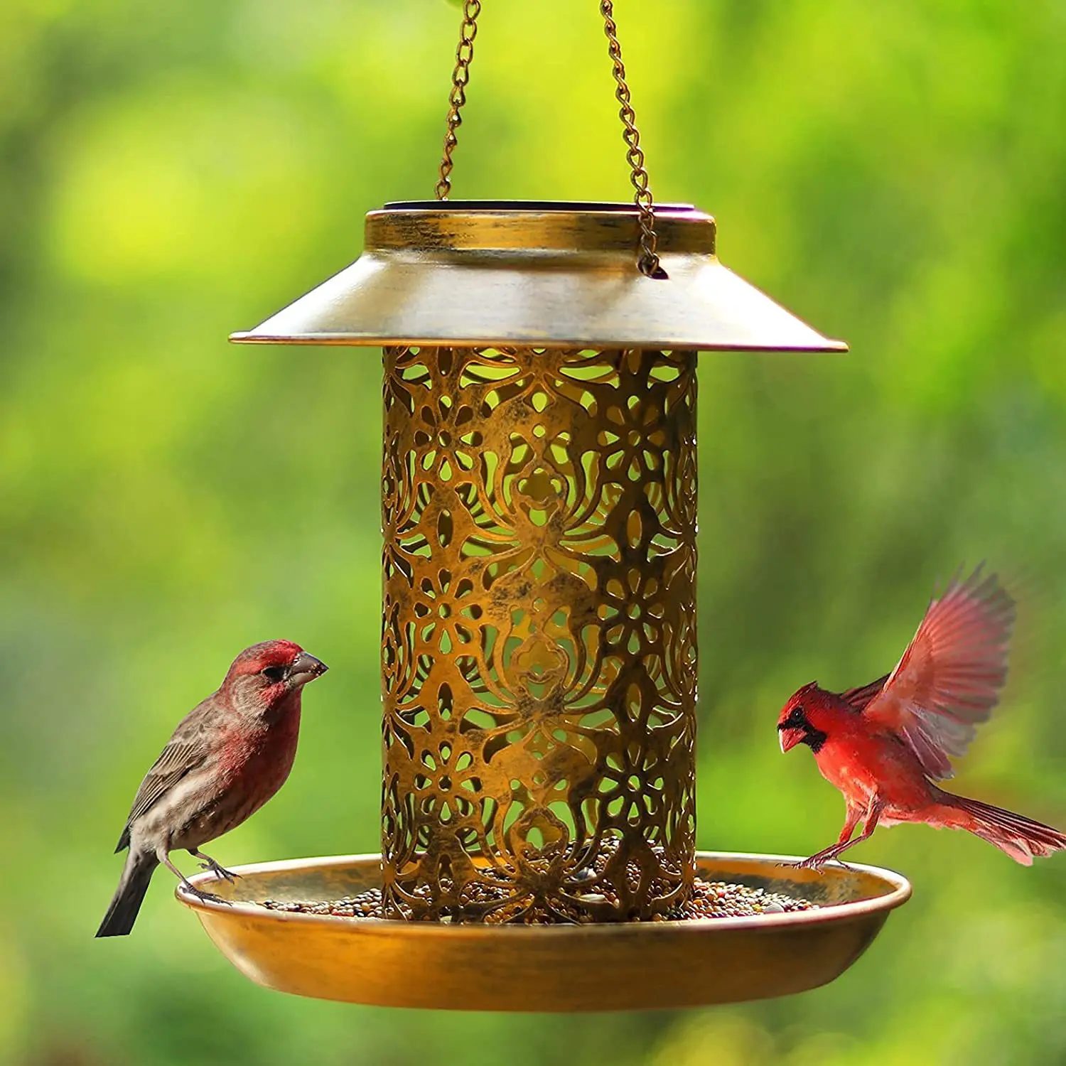 

Solar Bird Feeders for Outdoor Lovers Hanging Metal Wild Birds Feeder Cardinals Garden Lantern Best Gift Ideas