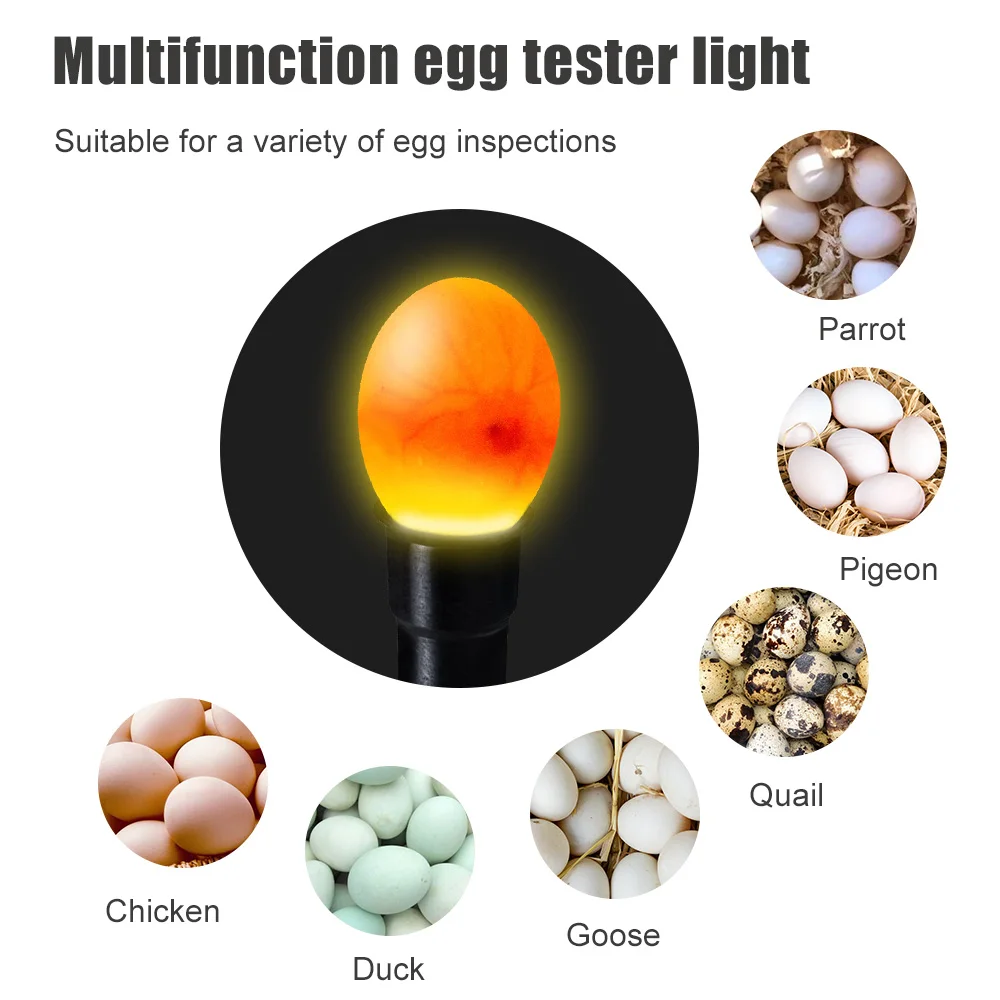 

Luminous Mini Egg Lamp Egg Check Lamp Egg Check Cool Light Flashlight LED Egg Check Incubator Translucent Small Flashlight