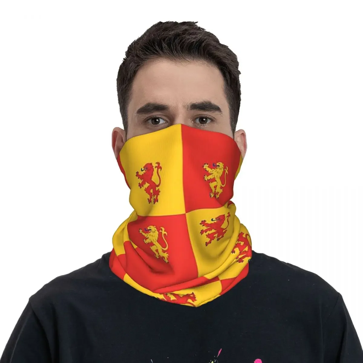 Baner Owain Glyndwr Флаг веллийский флаг венская бандана на шею маска с принтом шарф